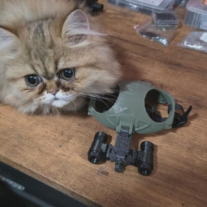 Puede incluir: Un gato persa de color marrón claro con ojos grandes junto a un dispositivo de visión nocturna verde y negro. El dispositivo tiene dos lentes negras y una montura para la cabeza. El gato está sobre una superficie de madera.