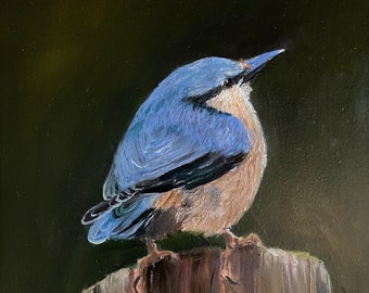 Nuthatch Original Oil Painting