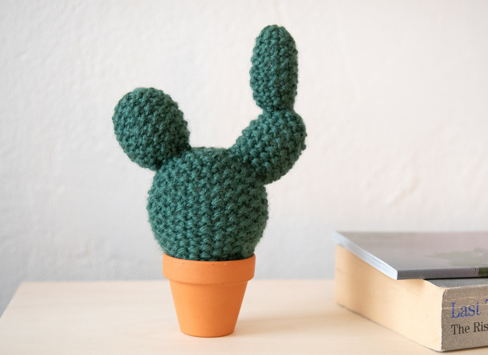 Cactus Tricoté, Décoration, Décoration de Bureau, Intérieure, Cactus, Laine, Cadeau, Déco, Coussin d