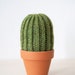 see more listings in the Cactus section