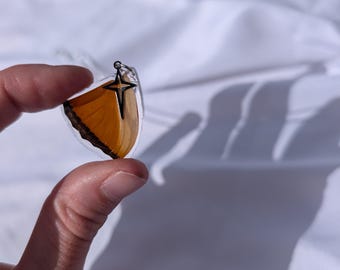 Collar con colgante de ala de mariposa auténtica, joyería con espécimen natural preservado en resina