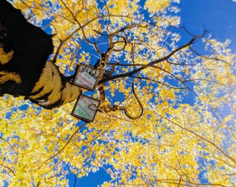 Pendientes con fragmentos del mapa de Colorado – Leadville y Turquoise Lake – Joyería con mapa de oro y diamantes