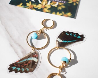 Pendientes de alas de mariposa auténticas – Pendientes de aro llamativos Graphium Milon – Joyería natural hecha a mano