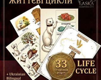 Schede didattiche bilingue sui cicli vitali, apprendimento scientifico in ucraino e inglese (download digitale)