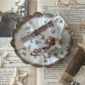 May include: An antique teacup and saucer set with a floral design in brown and gold, resting on an open book with vintage photographs and starfish. The cup is white with a gold handle.