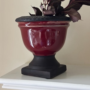 May include: A glossy deep red ceramic urn-style planter with a matte black base and a matching black rim featuring a decorative textured edge. The planter contains a leafy plant with dark purple foliage extending from the top opening.