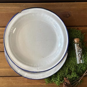 May include: Two white enamel plates with blue rims are stacked on a wooden surface. A small glass vial with a cork stopper contains a delicate object, possibly a butterfly wing. The plates and vial rest on a bed of green moss.