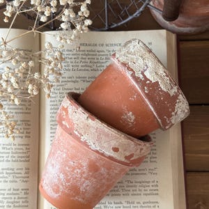 May include: Two small, weathered terracotta flower pots with a distressed, aged appearance. The pots are a warm orange-brown color with white accents around the rims. The pots are resting on an open book with the text "HERALDS OF SCIENCE".