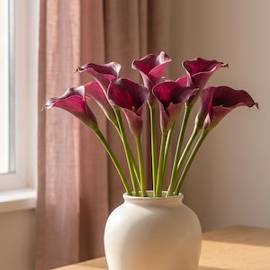 May include: A white ceramic vase displays a collection of deep burgundy calla lilies with green stems. The flowers are set against a pink curtain and a wooden table, creating a calm, natural aesthetic.