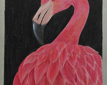 Croquis de flamant rose : décoration de chambre d'oiseau tropical rose