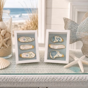 May include: Two white rectangular shadow box frames containing oyster shells mounted on a light blue background. The shells feature gold-painted edges and blue floral or seashell patterns, with one plain white shell in the center of each frame.