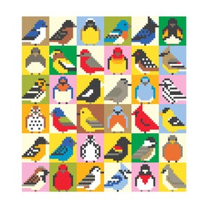 Op de afbeelding: Een raster van zesendertig pixel art illustraties van diverse vogels, elk geplaatst in een vierkante achtergrond van verschillende effen kleuren, waaronder geel, roze, groen en blauw. De vogels zijn in profiel of van voren afgebeeld met opvallende kleurpatronen.