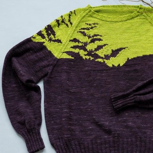 Knitting Pattern - Bats Sweater