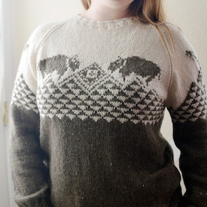 Buffalo Sweater Knitting Pattern image 5