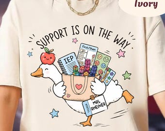 Comfort Colors Silly Goose Special Education Teacher Shirt, Funny Special Education Teacher Gift, SPED Teacher Shirt, Special Ed Team Shirt