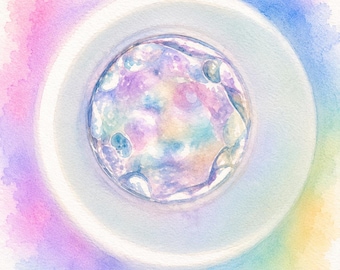 Muted Watercolor Embryo Art Print Set, Set of 4 Digital Downloads