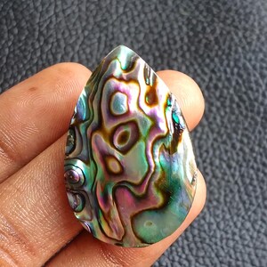 May include: A teardrop-shaped abalone shell with iridescent colors of green, blue, purple, and brown. The polished surface displays a swirling pattern, showcasing the natural beauty of the shell. The shell is held in a hand.