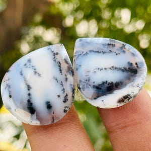 May include: Two pear-shaped dendritic agate gemstones featuring a smooth, polished surface with a translucent white base and intricate, fern-like black inclusions branching across the stones. The gems have faceted edges and a glossy finish.