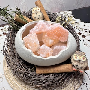May include: A round, off-white ceramic bowl with a jagged, broken-shell rim filled with translucent, light pink Himalayan salt chunks. The bowl is nestled in a dark brown twig nest decorated with two small owl figurines and cinnamon sticks.