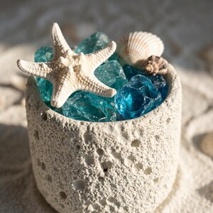 May include: A cylindrical, off-white, porous container with a textured surface filled with translucent blue glass stones, a light-colored starfish, and two small seashells. The container has a rough, stone-like appearance with small indentations.