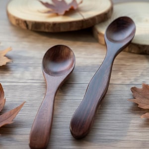 Cucchiaio in legno scuro, cucchiaini da caffè in palissandro realizzati a mano, cucchiaio da degustazione con manico lungo, utensili da cucina in legno di alta qualità, regalo per chef, cucchiaino da tè