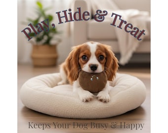 Plush Cookie Dog Toy, Squeaky Treat Enrichment, Small Puppy Toy (9 cm)