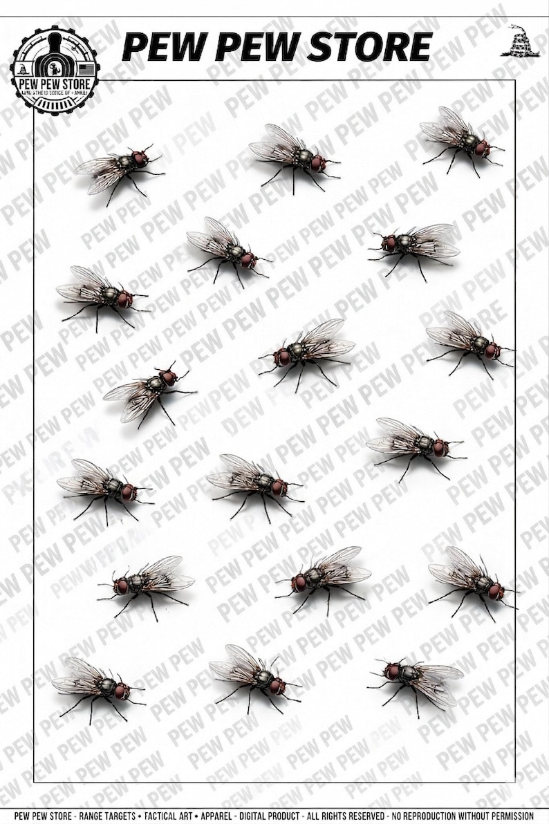 Printable Fly Shooting Target PDF Fun Insect Plinking Range Game ...