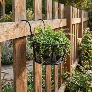 Puede incluir: Una jardinera colgante de metal negro llena de una planta verde colgante, sujeta a una valla de madera. La jardinera tiene un diseño de hojas decorativas y está llena de pequeñas cuentas verdes redondas.