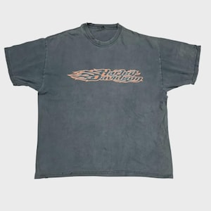 May include: A faded blue Harley-Davidson t-shirt. The shirt features the Harley-Davidson logo in orange and red flames across the chest. The t-shirt has short sleeves and a crew neck.