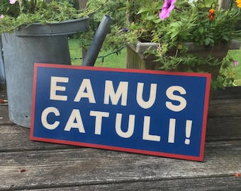 EAMUS CATULI! sign/Let's Go Cubs sign/hand painted sign/reproduction Chicago Cubs sign/red, white and blue sign/ Wrigley Field/man cave sign