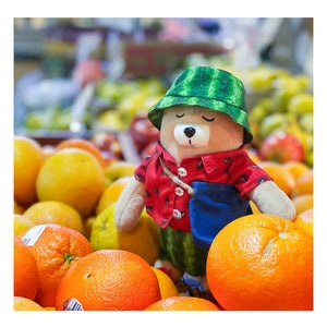 Diary Traveler's Notebook LOG-ON Manual Factory Bear Summer Clothes  (the last 2 sets)