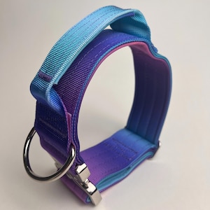 May include: A dog collar with a gradient design, transitioning from light blue to purple. The collar features a sturdy metal D-ring and a secure metal clasp. The handle is reinforced for added durability.