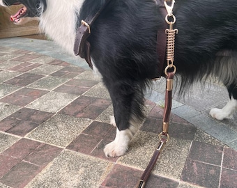 Handmade Full Grain Leather Dog Leash with Shock Absorbing Spring, Rose Gold Hardware