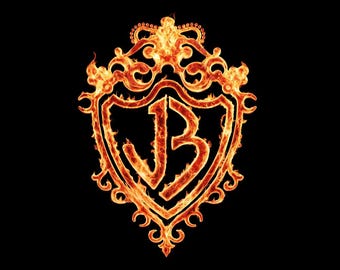 Jonas Brothers The Burning Up Tour PNG