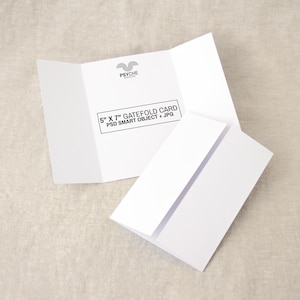 Può includere: Una scheda pieghevole bianca, di circa 12,7 x 17,8 cm, e una busta abbinata sono mostrate su uno sfondo neutro. La scheda è aperta, rivelando l'interno. Il testo sulla scheda recita "PSYCHE" e "5" X 7" GATEFOLD CARD PSD SMART OBJECT + JPG."