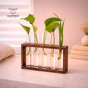 May include: A wooden vase with six glass tubes, each holding a plant stem with green leaves. The vase is dark brown and sits on a white surface. The background is a soft pink.