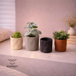 May include: Four cylindrical planters with vertical ribbed texture. The planters are in cream, gray, black, and orange. Each planter holds a different plant. The logo "GLOWNNEST EST. 2024" is at the bottom.