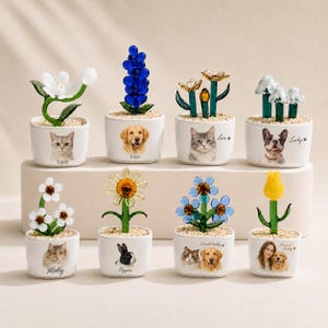 以下が含まれることがあります： 8つの小さな白い陶器のプランター。それぞれにユニークなガラスの花の彫刻と、ペットや人物の肖像画が描かれています。プランターには、写真の下にLuna、Lois、Lucky、Molly、Pepper、Buddyなどの名前が印刷されています。