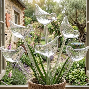 Glass Watering Bulbs - Etsy