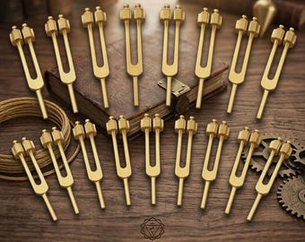 Stämgaffelset för mänskliga organ (viktat) med aktivator. Används för meditation, avslappning och ljudhealing.