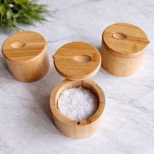Peut inclure: Trois salières en bambou avec couvercles et petites cuillères. Une salière est ouverte, révélant du sel blanc. Les salières sont cylindriques avec une finition en bois naturel, posées sur une surface claire. Une branche de feuillage vert est en arrière-plan.