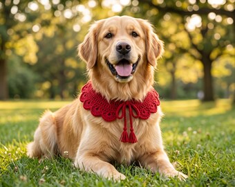 Easy Crochet Pet Collar, Crochet Pet Accessory Pattern, DIY Dog Collar PDF