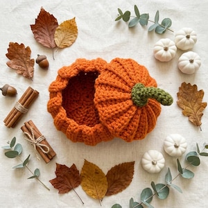 May include: A crocheted orange pumpkin-shaped container with a removable lid and a green stem. The pumpkin is surrounded by scattered brown autumn leaves, small white decorative pumpkins, cinnamon sticks, and green eucalyptus sprigs.