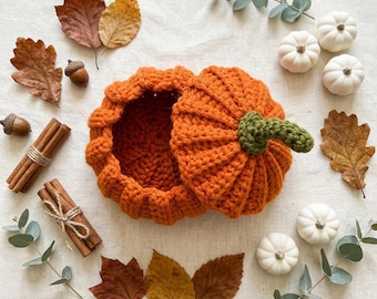 Crochet Pumpkin Basket Pattern, Beginner Friendly Fall Decor (PDF Pattern)