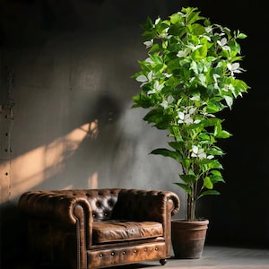 Puede incluir: Un gran árbol artificial en maceta, con hojas verdes y flores blancas, se encuentra junto a un sillón Chesterfield de cuero marrón. El fondo es una pared oscura y texturizada, creando un ambiente elegante.