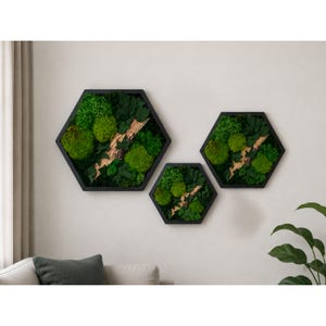 May include: Three hexagonal wall art pieces featuring preserved green moss and dark green foliage arranged within black frames. Each piece contains a diagonal strip of light-colored wood bark, creating a natural forest-like texture and appearance.
