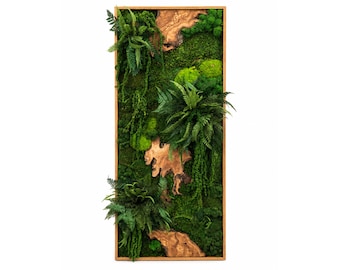 Moosbild - Olivenholz - Flachmoos - Kugelmoos - Islandmoos und Holz Elemente - Geschenk für Mütter - Present - Moosbild - Mooswand -pflanzen