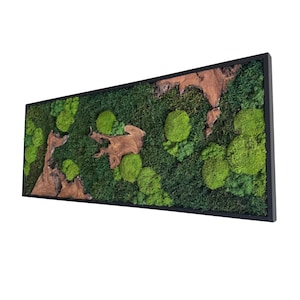 Könnte beinhalten: Rechteckige Wandkunst mit einem Design aus lebendigem grünen Moos, ergänzt durch hellgrüne und braune Holzelemente. Das Moos ist in einem schwarzen Rahmen angeordnet und erzeugt eine natürliche, strukturierte Ästhetik. Ein einzigartiges Wohnaccessoire.