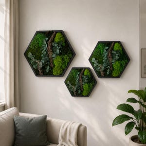 May include: Three hexagonal wall art pieces featuring preserved green moss, dark brown bark, and light green leaves encased in black frames. The arrangement consists of one large hexagon and two smaller hexagons, all displaying natural textures.