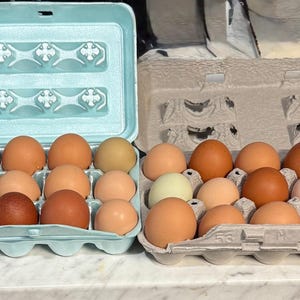 Fresh Barnyard Mix Eggs – Farm Fresh, Hand-Collected, Brown & Speckled